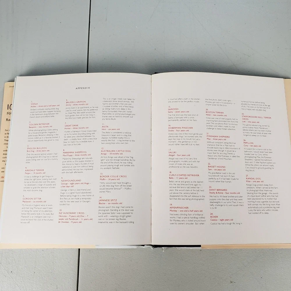 101 Salivations For the Love of Dogs Rachael Hale Hardcover Photography Book